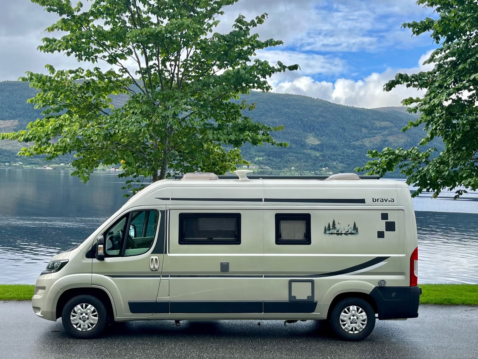 BRAVIA SWAN 599 - Image 3