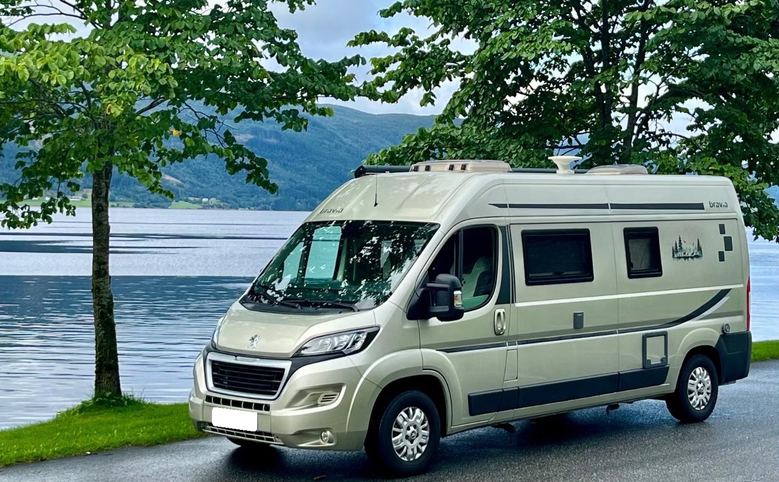 BRAVIA SWAN 599 - Image 4