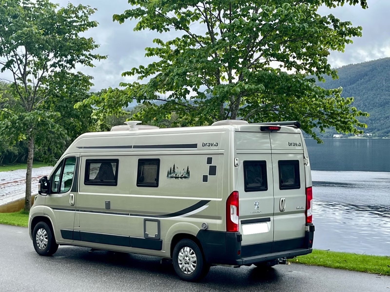 BRAVIA SWAN 599 - Image 5